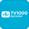 38. TV 1000 Русское Кино.png
